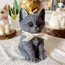 Load image into Gallery viewer, Kitten