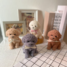 Load image into Gallery viewer, My Big Coco