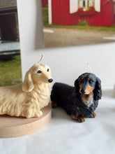 Load image into Gallery viewer, Long Hair Dachshund
