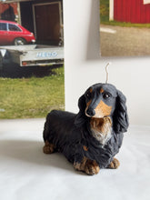 Load image into Gallery viewer, Long Hair Dachshund

