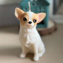 Load image into Gallery viewer, Short Hair Chihuahua
