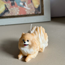 Load image into Gallery viewer, Pomeranian - Design 3
