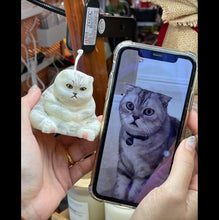 Load image into Gallery viewer, Sumo Cat
