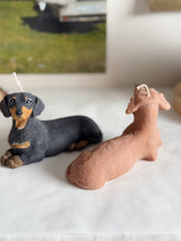 Load image into Gallery viewer, Short Hair Dachshund
