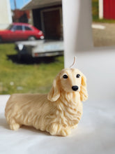 Load image into Gallery viewer, Long Hair Dachshund
