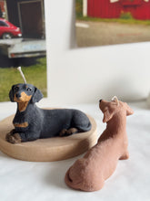 Load image into Gallery viewer, Short Hair Dachshund
