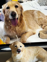 Load image into Gallery viewer, Golden Retriever
