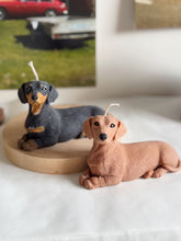 Load image into Gallery viewer, Short Hair Dachshund
