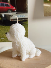 Load image into Gallery viewer, Bichon
