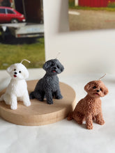 Load image into Gallery viewer, My Mini Coco

