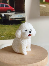 Load image into Gallery viewer, Bichon
