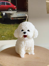 Load image into Gallery viewer, Bichon
