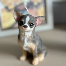 Load image into Gallery viewer, Short Hair Chihuahua
