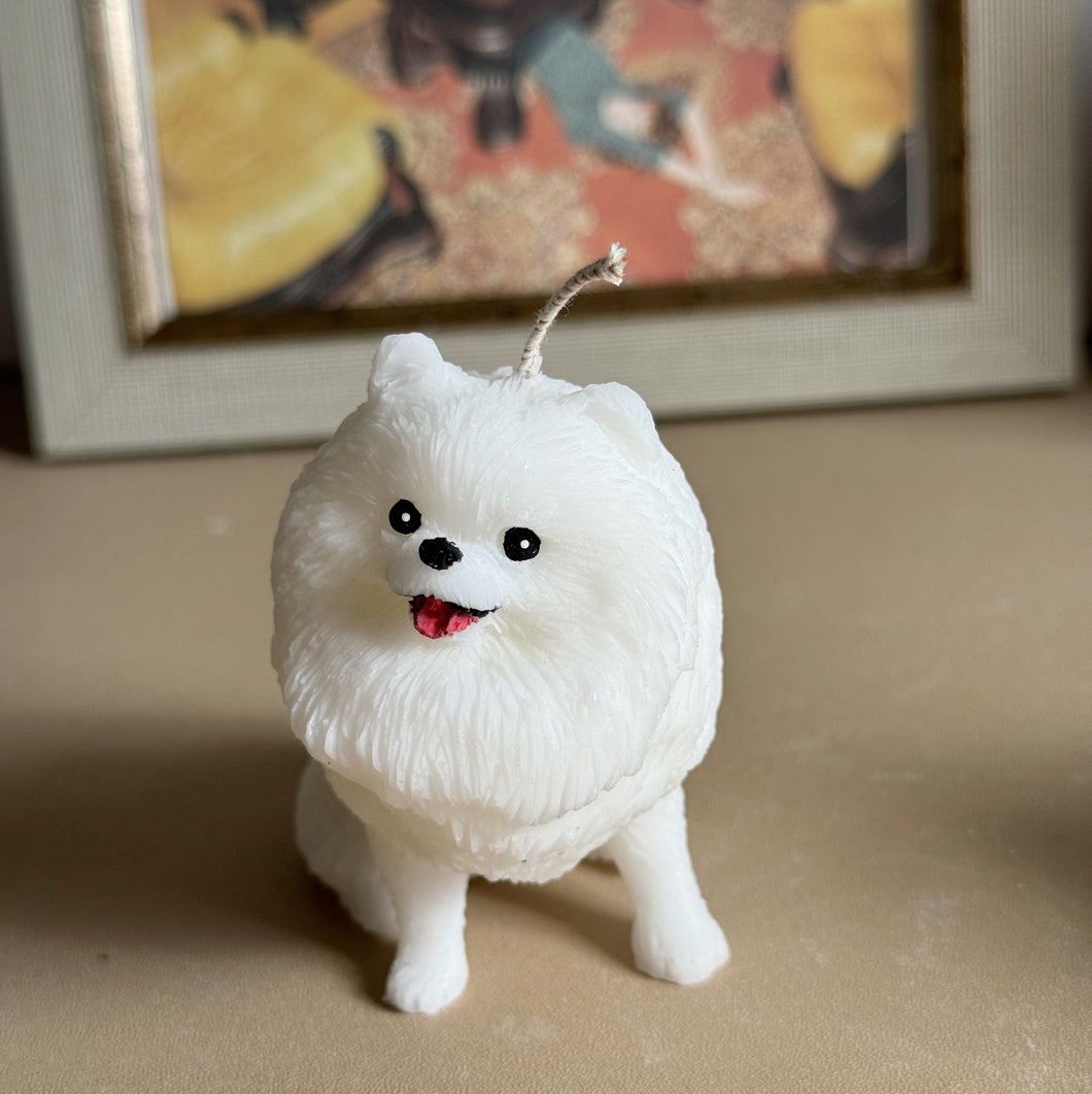 Pomeranian - Design 2