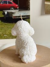 Load image into Gallery viewer, Bichon
