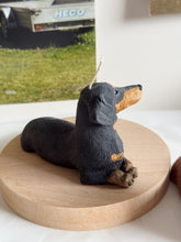 Load image into Gallery viewer, Short Hair Dachshund
