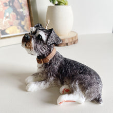 Load image into Gallery viewer, Schnauzer
