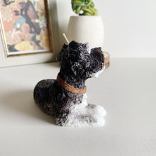 Load image into Gallery viewer, Schnauzer
