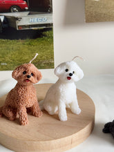 Load image into Gallery viewer, My Mini Coco
