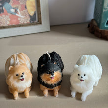 Load image into Gallery viewer, Pomeranian - Design 3
