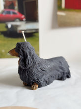 Load image into Gallery viewer, Long Hair Dachshund

