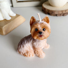 Load image into Gallery viewer, Yorkshire Terrier
