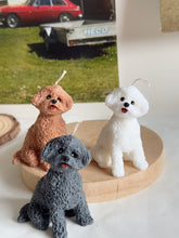 Load image into Gallery viewer, My Mini Coco
