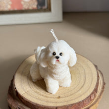 Load image into Gallery viewer, Bichon
