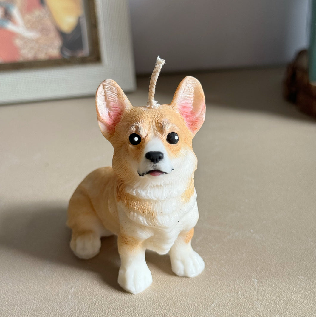 Corgi