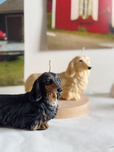 Load image into Gallery viewer, Long Hair Dachshund
