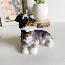 Load image into Gallery viewer, Schnauzer
