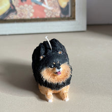 Load image into Gallery viewer, Pomeranian - Design 3
