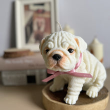 Load image into Gallery viewer, English Bulldog
