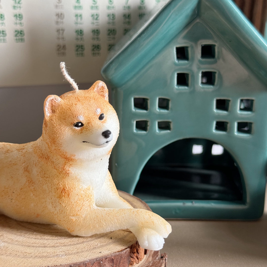 Shiba