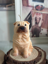 Load image into Gallery viewer, Shar Pei
