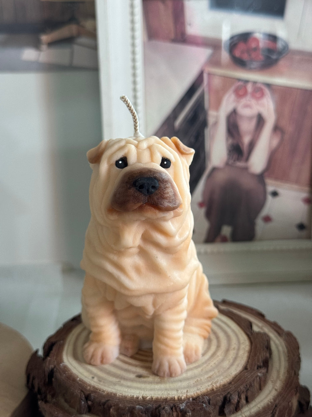 Shar Pei