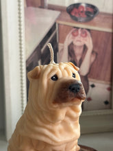 Load image into Gallery viewer, Shar Pei
